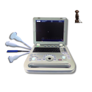 Ultrassom Portátil 15" EV-US3 Vet