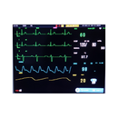 Monitor Multiparamétrico 8" EV-MM8A Vet