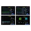Monitor Multiparamétrico Modular 12" EV-MM12 Plus Vet
