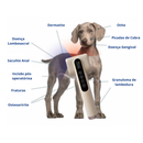 Kit Dermatologia EV-LT1 + EV-LW1 Vet