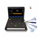 Ultrassom Portátil 15,6" EV-US2 Vet